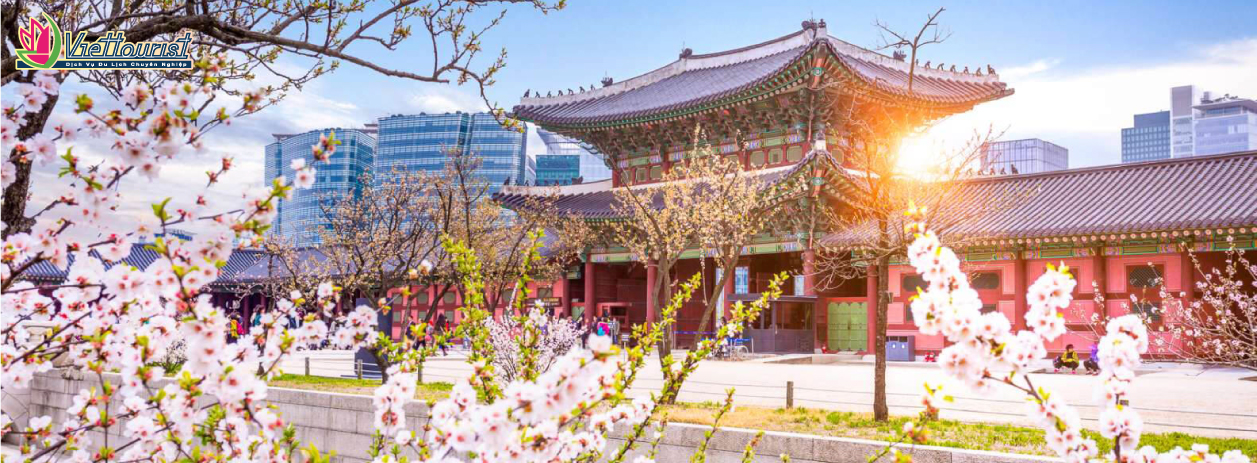 Tour Hàn Quốc Lễ 30/4