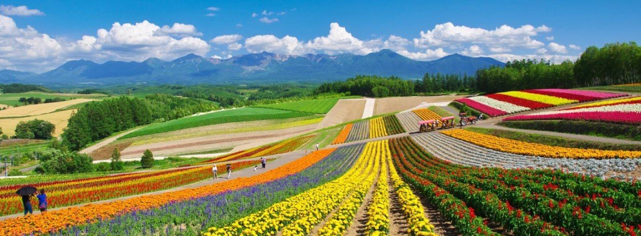 HOKKAIDO - Nhật Bản
