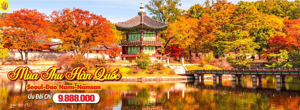 Tour Hàn Quốc Mùa Thu