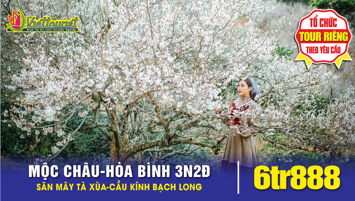 Tour du lịch MỘC CHÂU - TÀ XÙA - CẦU KÍNH BẠCH LONG - HÒA BÌNH | 3 ngày 2 đêm
