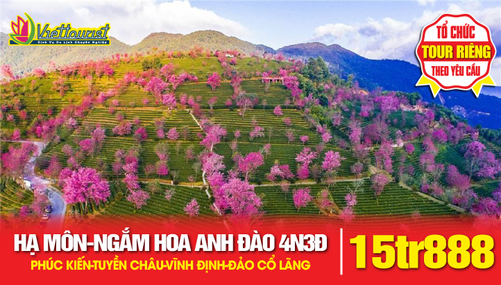 Tour du lịch Trung Quốc Hoa Anh Đào | PHÚC KIẾN - HẠ MÔN - TUYỀN CHÂU VĨNH ĐỊNH - ĐẢO CỔ LÃNG 4N3Đ