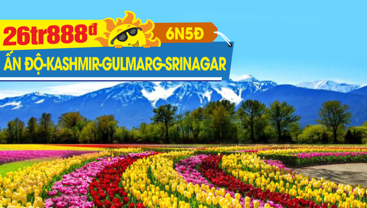 Tour du lịch hè KASHMIR  - GULMARG - PAHALGAM - SRINAGAR - Thủ đô NEW DELHI - ẤN ĐỘ 6N5Đ
