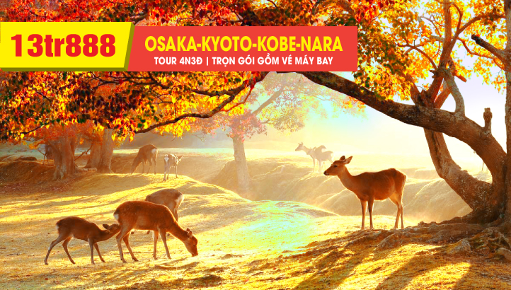 Tour du lịch Nhật Bản Mùa Thu 4N3Đ - OSAKA - CỐ ĐÔ KYOTO - CÔNG VIÊN NARA | Vip tour Mùa Thu tham quan Vịnh Ine và Amanohashidate & Lâu đài Osaka
