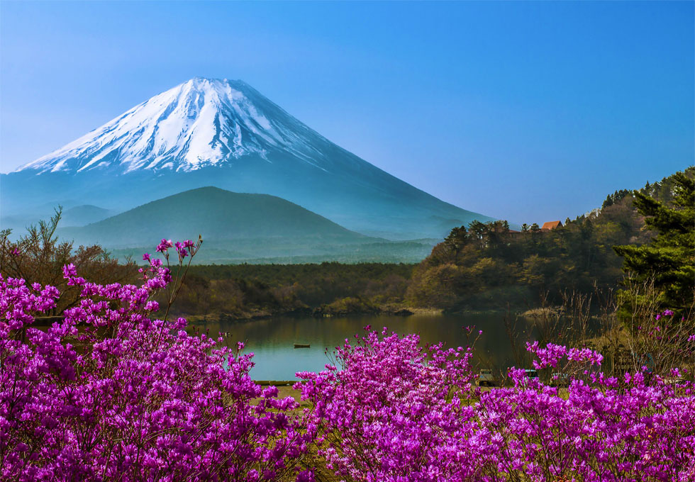 YAMANASHI - THIÊN ĐƯỜNG TRÁI CÂY VÀ RƯỢU VANG