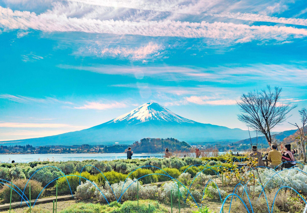 VƯƠNG QUỐC TRÁI CÂY YAMANASHI