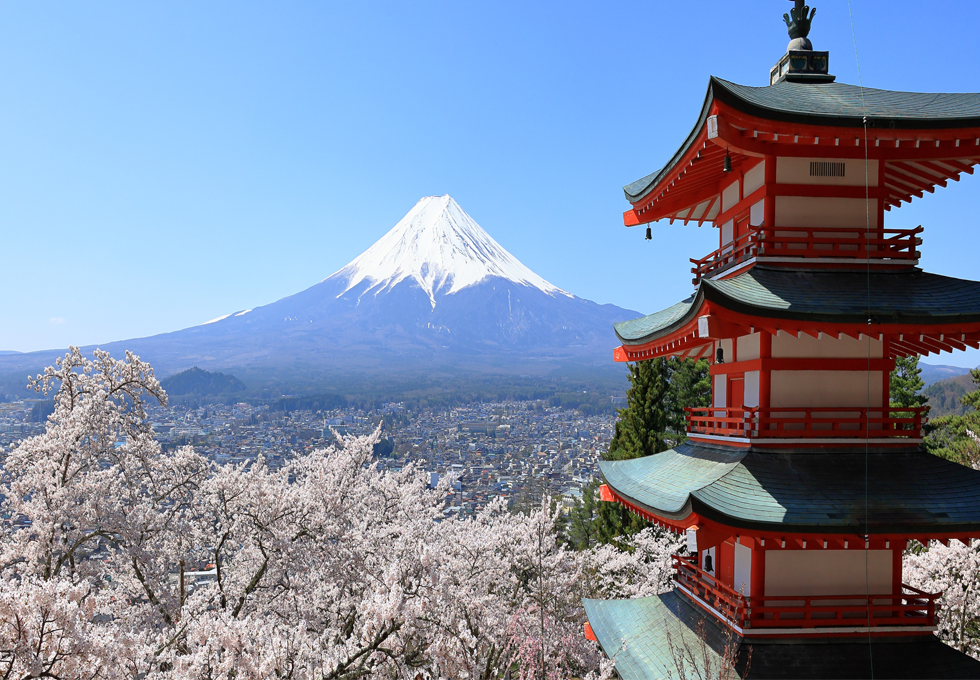 YAMANASHI - QUÊ HƯƠNG CỦA NÚI PHÚ SĨ VÀ THIÊN ĐƯỜNG RƯỢU VANG