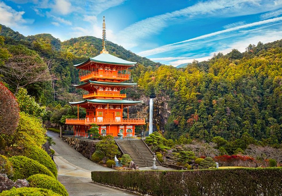 WAKAYAMA - VÙNG ĐẤT CỦA CÁ NGỪ VÀ TRÁI CÂY