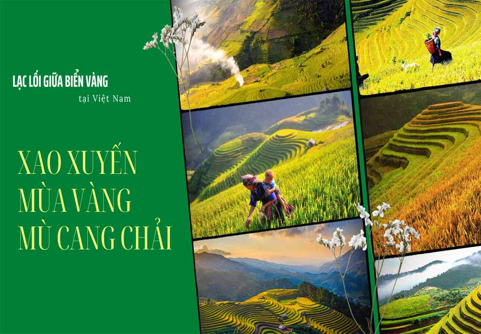 MÙA LÚA CHÍN Ở NẬM CANG