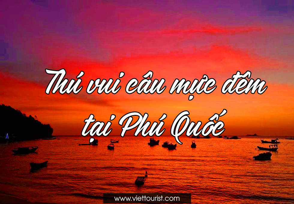 CÂU MỰC ĐÊM PHÚ QUỐC – TƯỞNG KHÔNG VUI NHƯNG LẠI VUI KHÔNG TƯỞNG