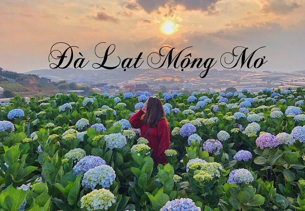 TRẢI NGHIỆM DU LỊCH ĐÀ LẠT 4 NGÀY 3 ĐÊM TỰ TÚC