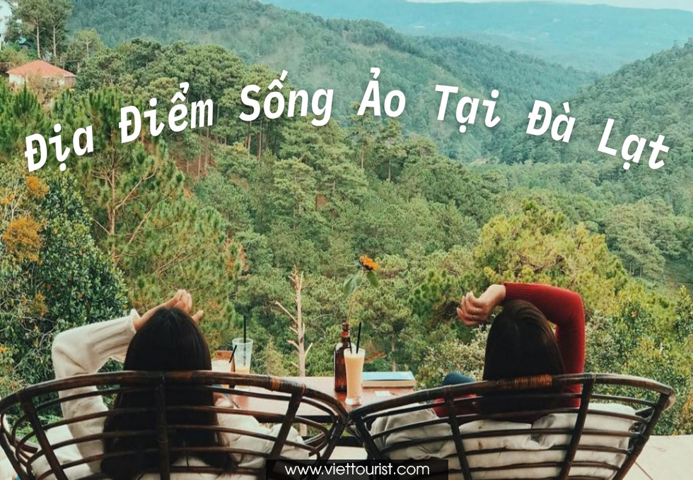 ĐƯA TAY ĐÂY NÀO, SỐNG ẢO ĐÀ LẠT NGAY BẠN NHÉ !