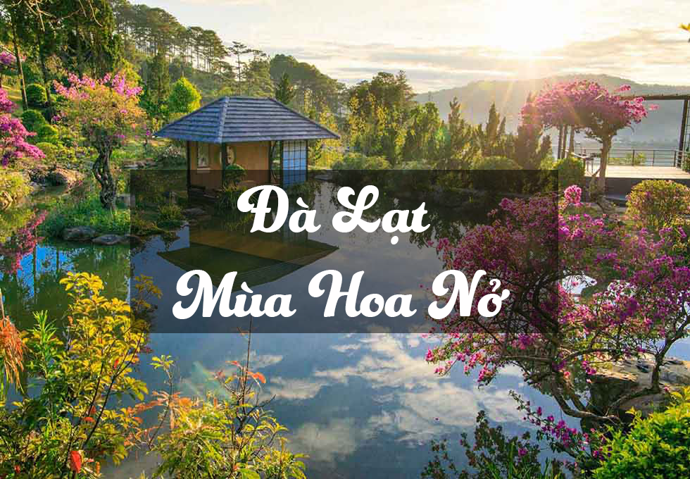ĐÀ LẠT MÙA HOA NỞ