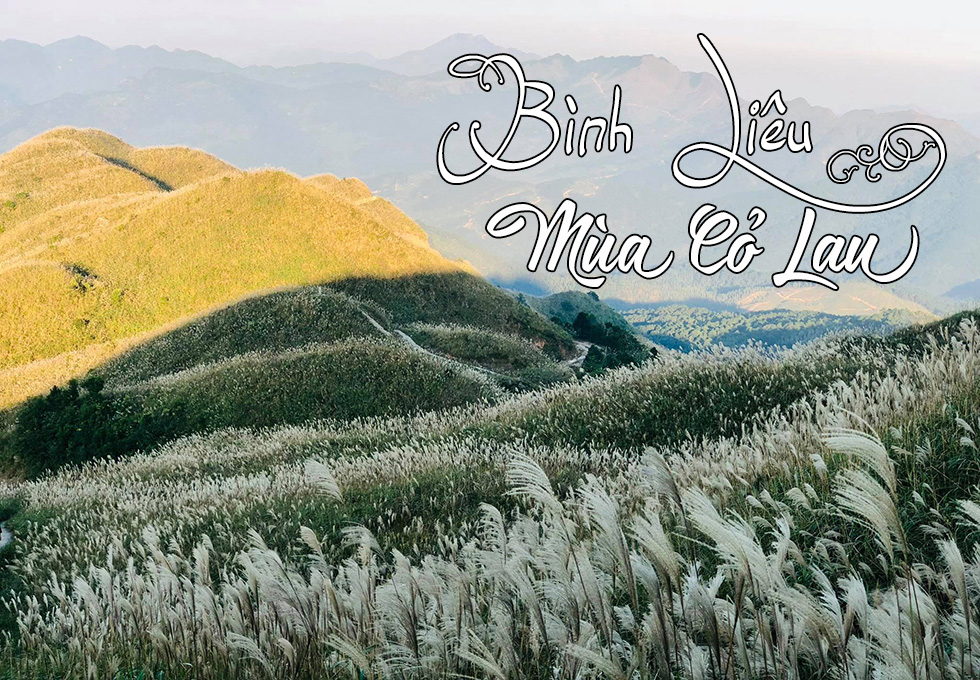 BÌNH LIÊU - MÙA CỎ LAU