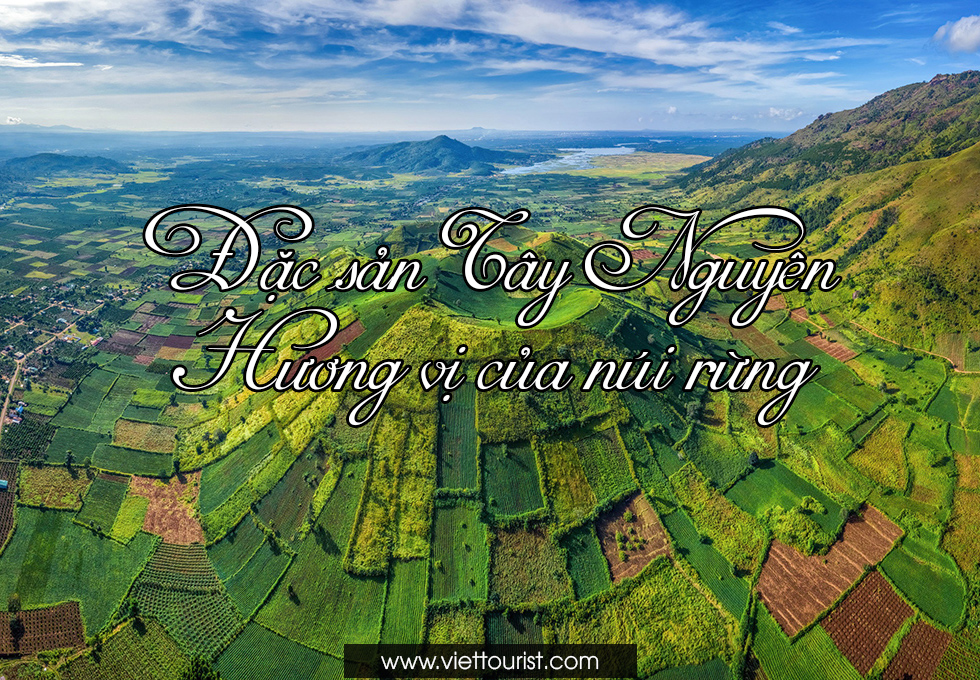 THƯỞNG THỨC ĐẶC SẢN TÂY NGUYÊN – HƯƠNG VỊ CỦA NÚI RỪNG