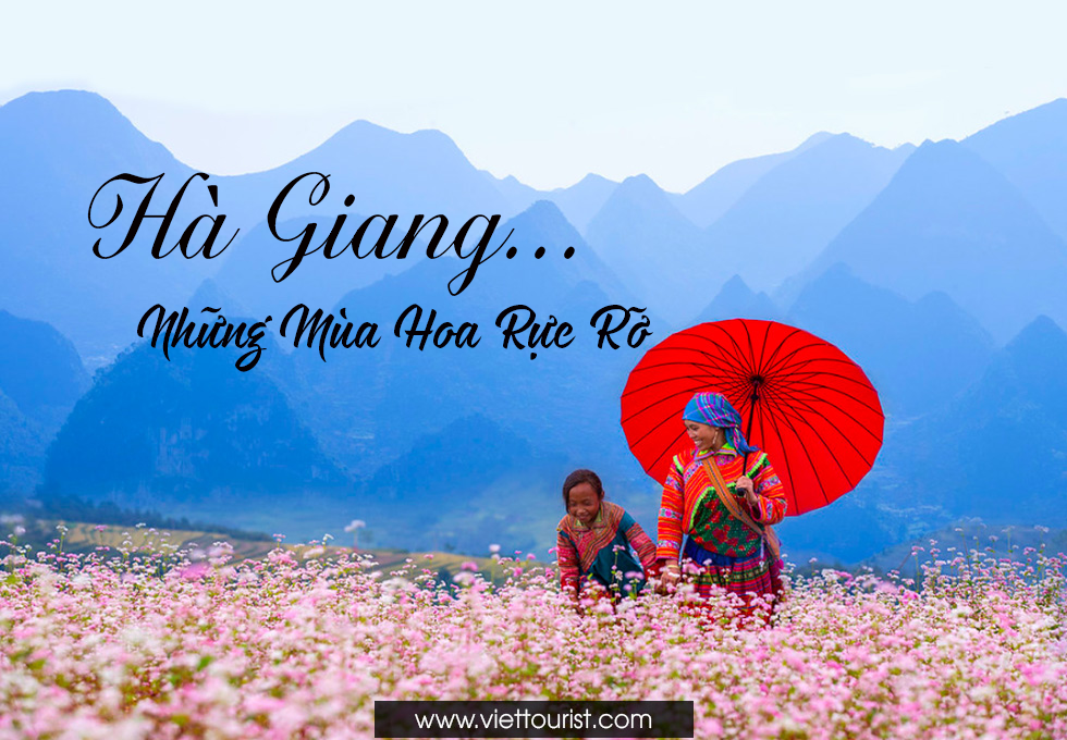 VỀ HÀ GIANG NGHE SỰ TÍCH HOA TAM GIÁC MẠCH