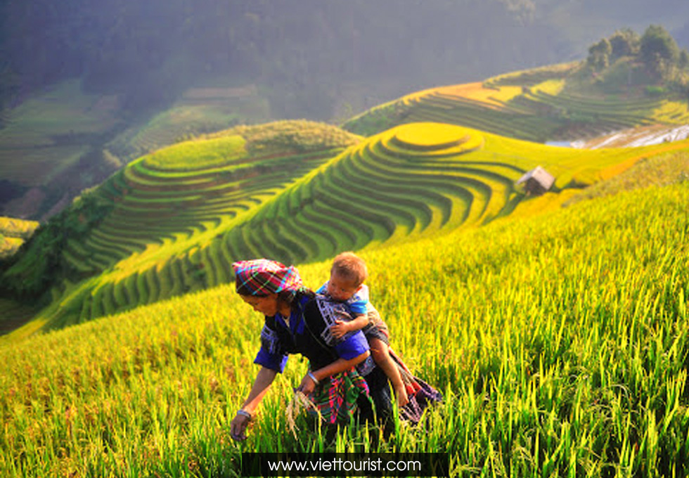 TOP 5 MÓN ĐẶC SẢN BẠN NÊN THỬ KHI ĐẾN TÂY BẮC