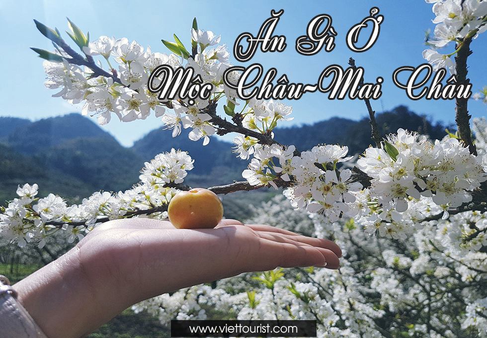 ĂN GÌ Ở MỘC CHÂU - MAI CHÂU
