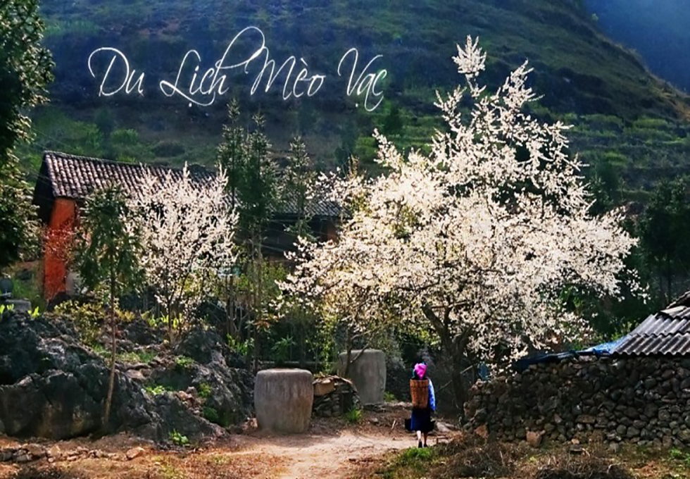 TOP 5 ĐIỂM DU LỊCH MÈO VẠC - HÀ GIANG
