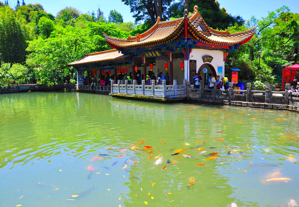 HẮC LONG ĐÀM