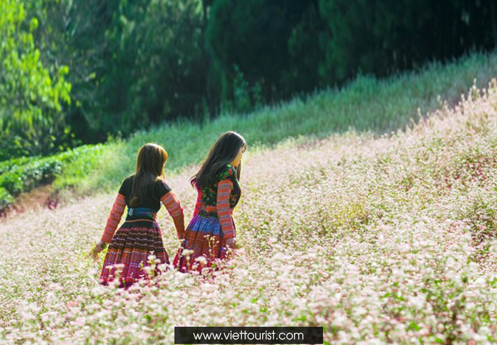 Images