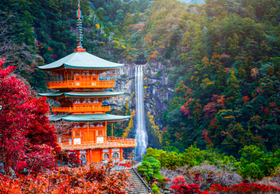 NHỮNG ĐIỀU PHẢI THỬ KHI DU LỊCH WAKAYAMA