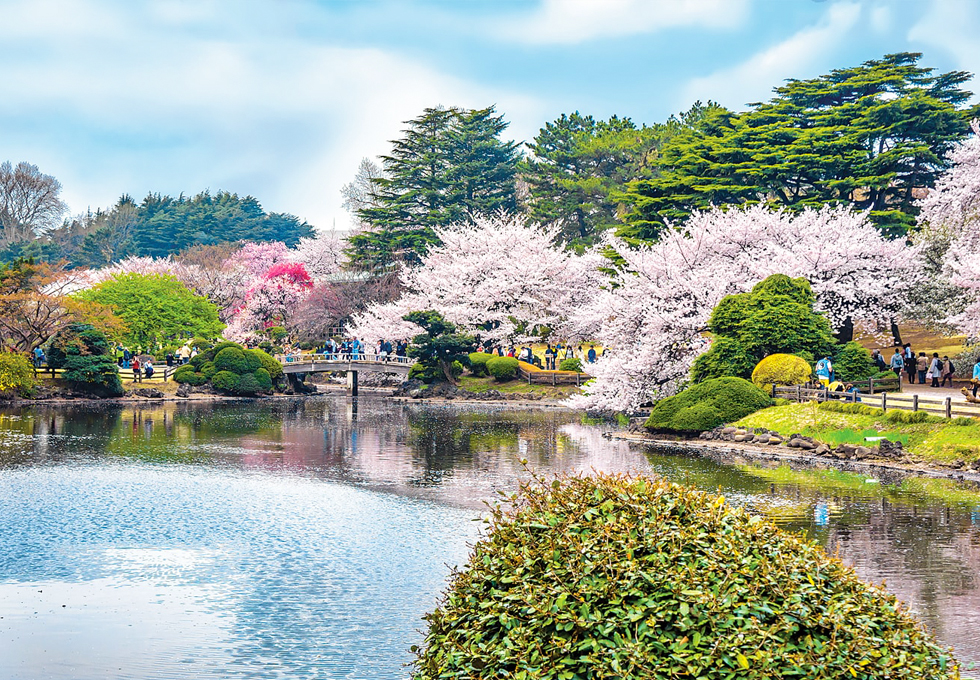 3 ĐIỂM NGẮM HOA ANH ĐÀO ĐẸP NHẤT TẠI OSAKA