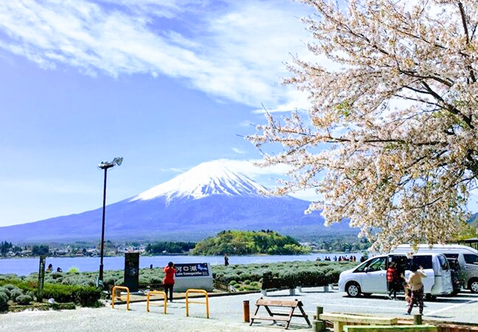 Images