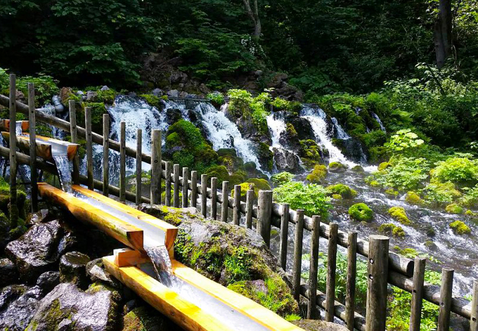 Images