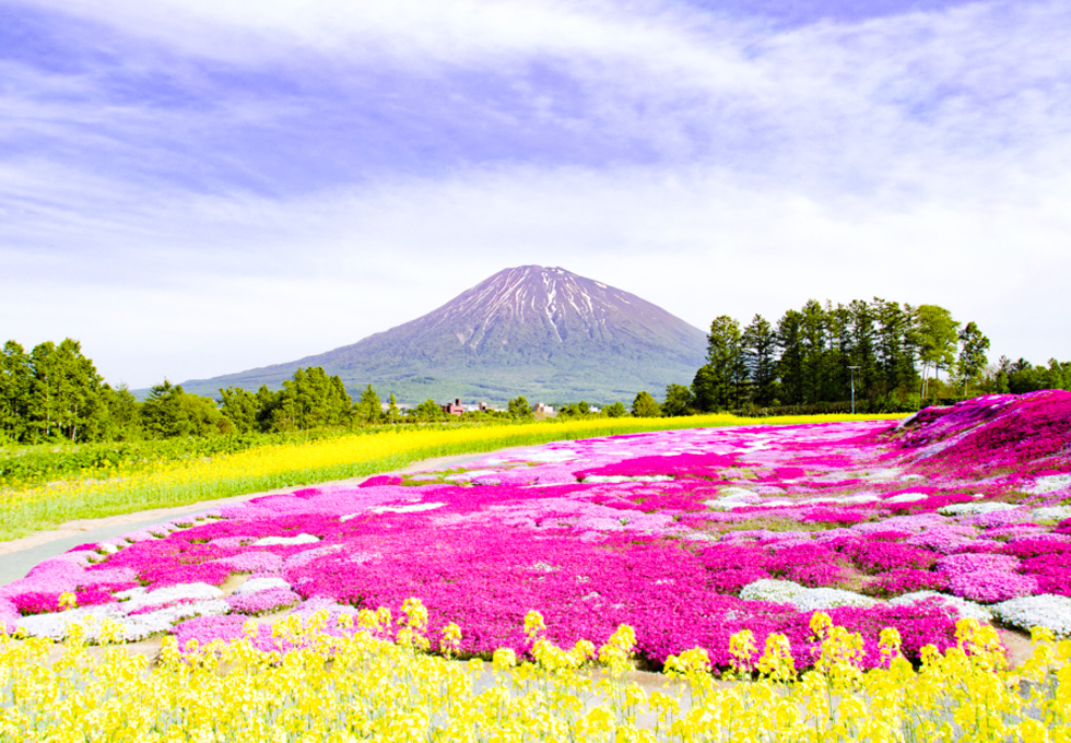 Images
