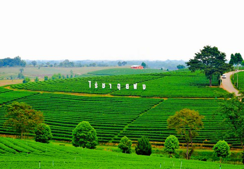 Images