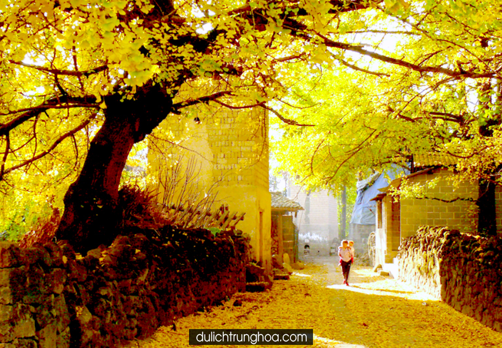 Images