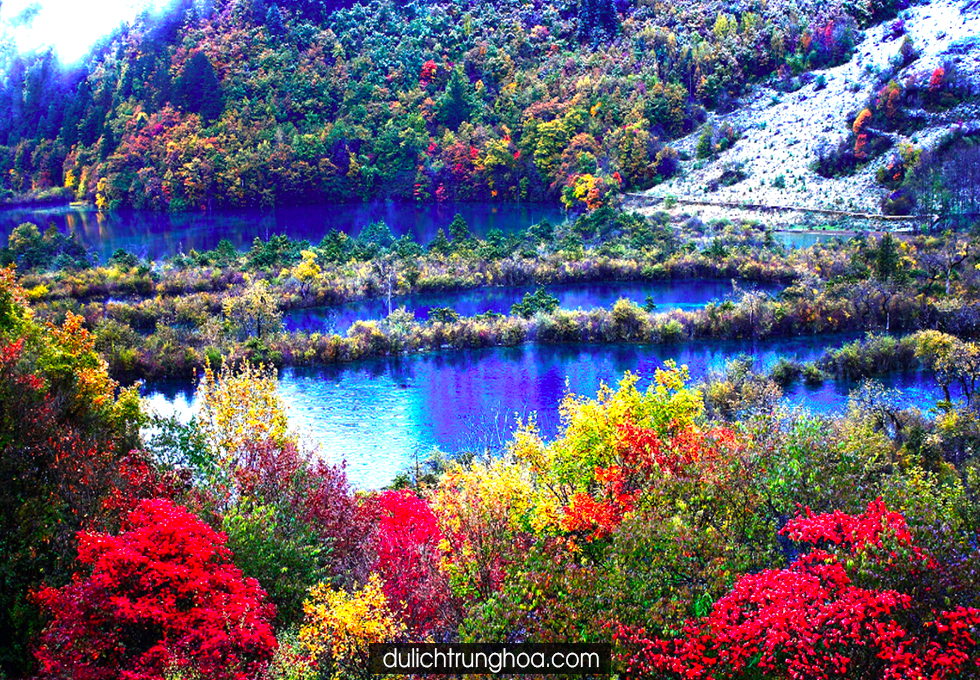 Images
