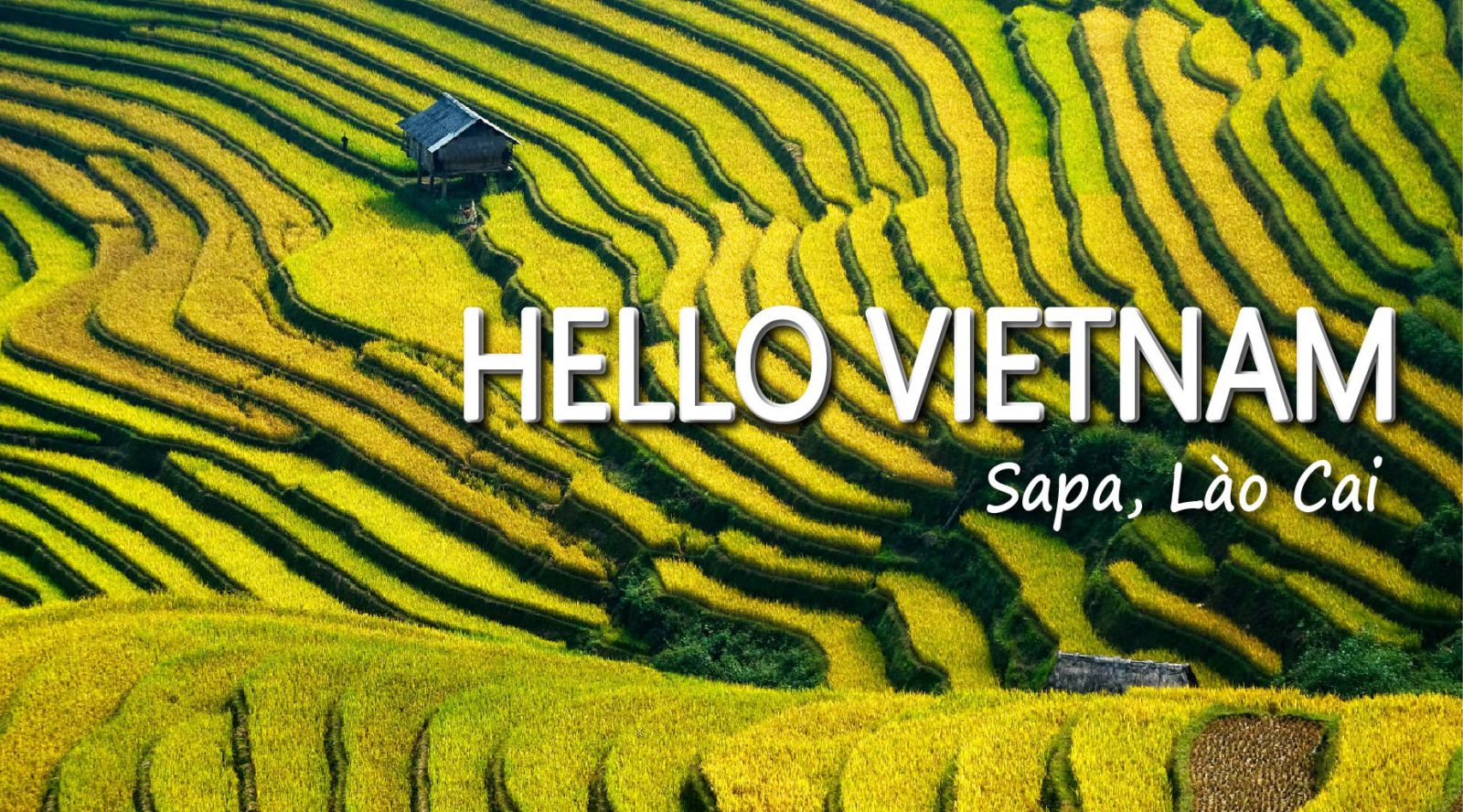 Chạm thiên đường vùng cao Sapa Lào Cai