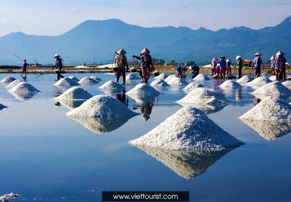 Bà con thu hoạch muối