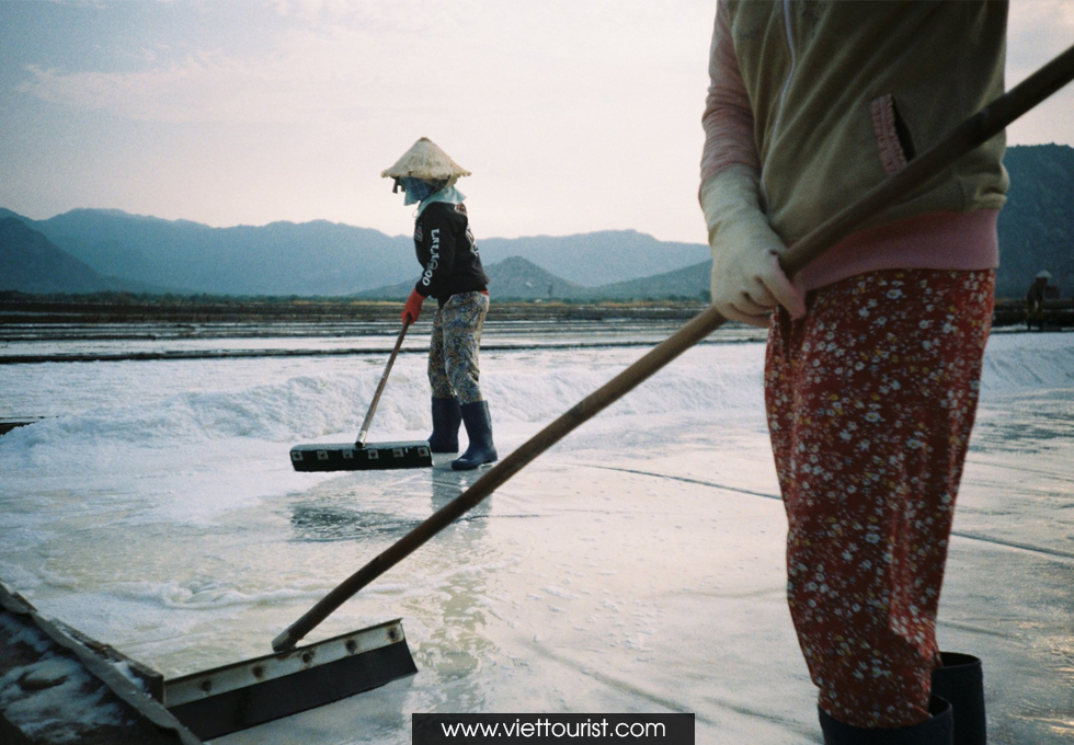 vựa muối Phương Cựu ở Ninh Thuận